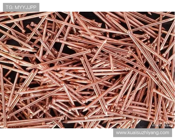 劳尔技术推动行业创新与可持续发展中的趋势分析